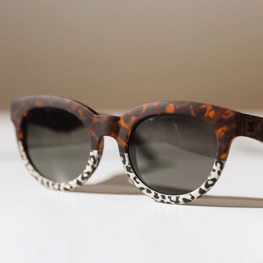 Toms Tom's Albion Florentine - Image 6