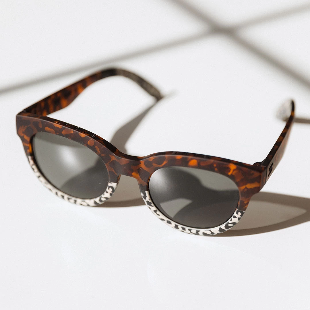 Toms Tom's Albion Florentine - Image 7